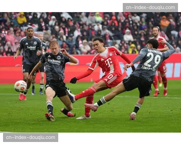 文化事件：德甲与本土音乐节合作，推出“足球与音乐”跨界推广活动。