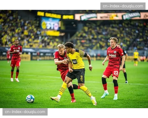 DFL通过新决议,下赛季起德甲将试行“挑战式VAR”,每队每场限一次。